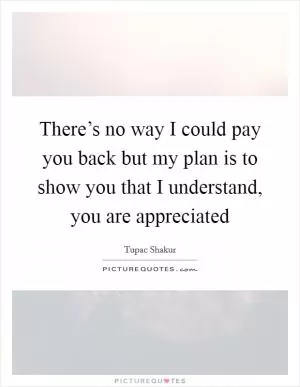 There’s no way I could pay you back but my plan is to show you that I understand, you are appreciated Picture Quote #1