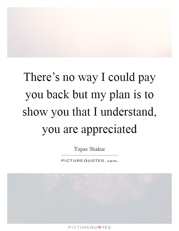 There's no way I could pay you back but my plan is to show you that I understand, you are appreciated Picture Quote #1