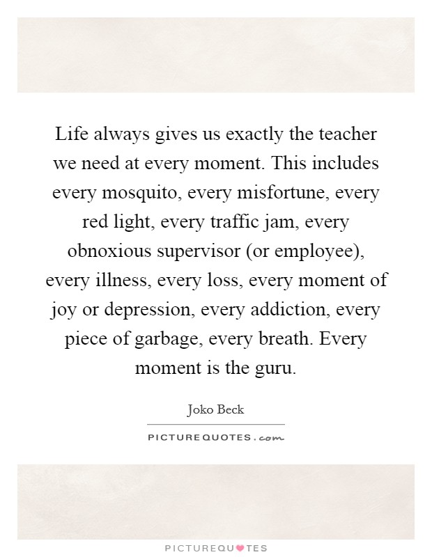 Life always gives us exactly the teacher we need at every moment. This includes every mosquito, every misfortune, every red light, every traffic jam, every obnoxious supervisor (or employee), every illness, every loss, every moment of joy or depression, every addiction, every piece of garbage, every breath. Every moment is the guru Picture Quote #1