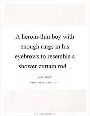 A heroin-thin boy with enough rings in his eyebrows to resemble a shower curtain rod Picture Quote #1