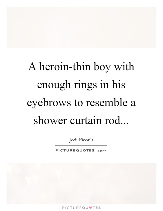 A heroin-thin boy with enough rings in his eyebrows to resemble a shower curtain rod Picture Quote #1
