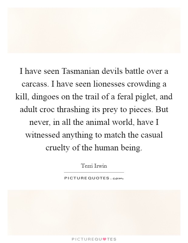I have seen Tasmanian devils battle over a carcass. I have seen lionesses crowding a kill, dingoes on the trail of a feral piglet, and adult croc thrashing its prey to pieces. But never, in all the animal world, have I witnessed anything to match the casual cruelty of the human being Picture Quote #1