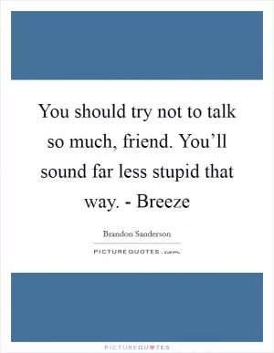 You should try not to talk so much, friend. You’ll sound far less stupid that way. - Breeze Picture Quote #1