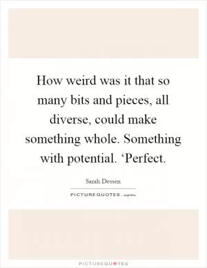 How weird was it that so many bits and pieces, all diverse, could make something whole. Something with potential. ‘Perfect Picture Quote #1
