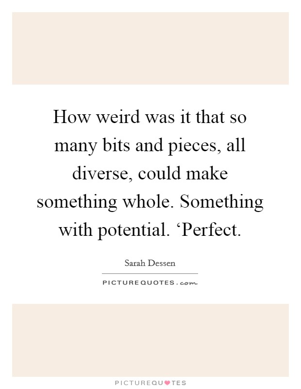 How weird was it that so many bits and pieces, all diverse, could make something whole. Something with potential. ‘Perfect Picture Quote #1