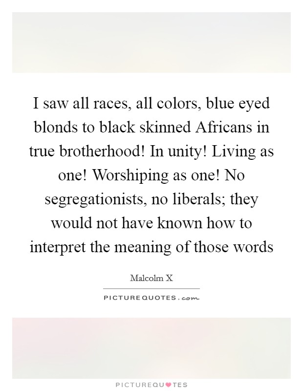 I saw all races, all colors, blue eyed blonds to black skinned Africans in true brotherhood! In unity! Living as one! Worshiping as one! No segregationists, no liberals; they would not have known how to interpret the meaning of those words Picture Quote #1