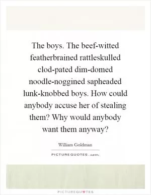 The boys. The beef-witted featherbrained rattleskulled clod-pated dim-domed noodle-noggined sapheaded lunk-knobbed boys. How could anybody accuse her of stealing them? Why would anybody want them anyway? Picture Quote #1