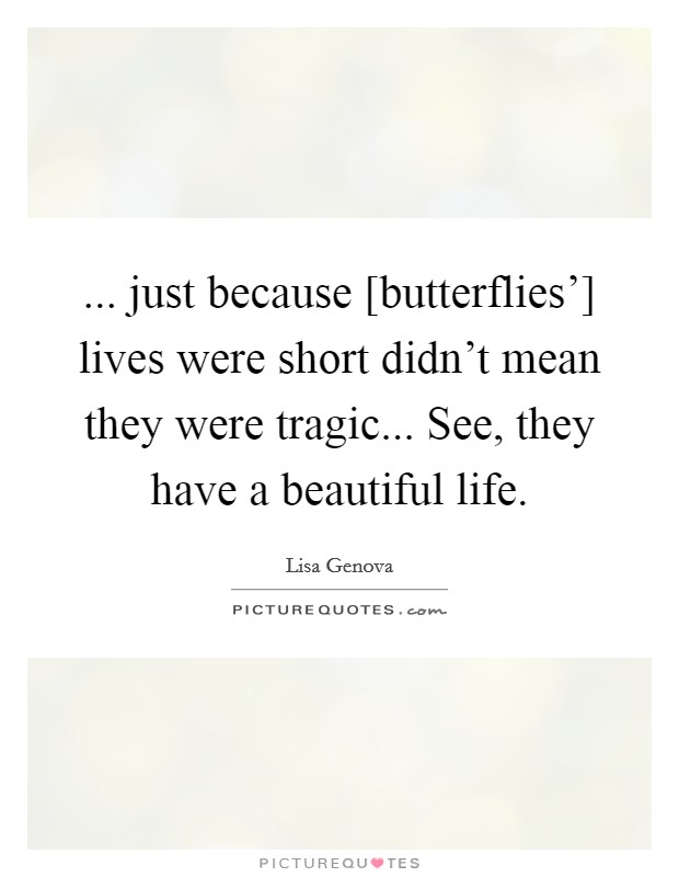 ... just because [butterflies'] lives were short didn't mean they were tragic... See, they have a beautiful life Picture Quote #1