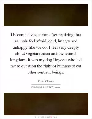 I became a vegetarian after realizing that animals feel afraid, cold, hungry and unhappy like we do. I feel very deeply about vegetarianism and the animal kingdom. It was my dog Boycott who led me to question the right of humans to eat other sentient beings Picture Quote #1