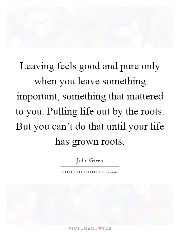 Leaving feels good and pure only when you leave something important, something that mattered to you. Pulling life out by the roots. But you can't do that until your life has grown roots Picture Quote #1