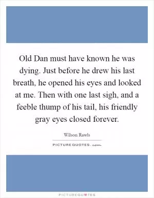 Old Dan must have known he was dying. Just before he drew his last breath, he opened his eyes and looked at me. Then with one last sigh, and a feeble thump of his tail, his friendly gray eyes closed forever Picture Quote #1