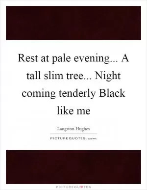 Rest at pale evening... A tall slim tree... Night coming tenderly Black like me Picture Quote #1