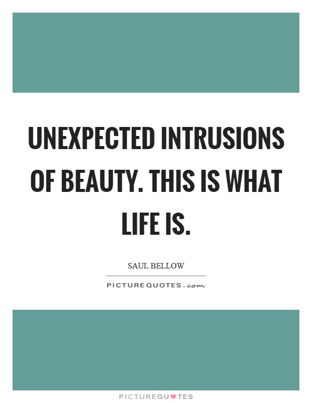 Unexpected intrusions of beauty. This is what life is Picture Quote #1