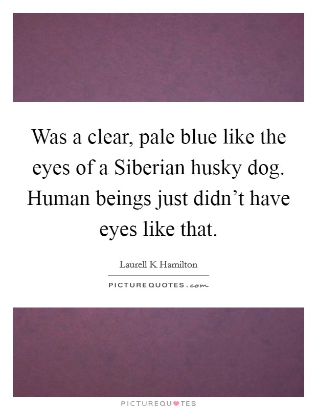 Was a clear, pale blue like the eyes of a Siberian husky dog. Human beings just didn't have eyes like that Picture Quote #1