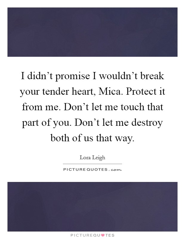 I didn't promise I wouldn't break your tender heart, Mica. Protect it from me. Don't let me touch that part of you. Don't let me destroy both of us that way Picture Quote #1