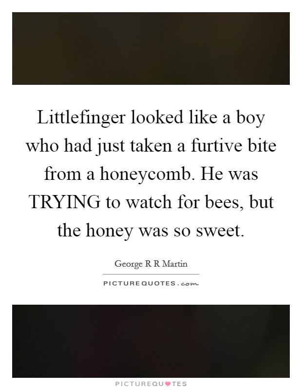Littlefinger looked like a boy who had just taken a furtive bite from a honeycomb. He was TRYING to watch for bees, but the honey was so sweet Picture Quote #1