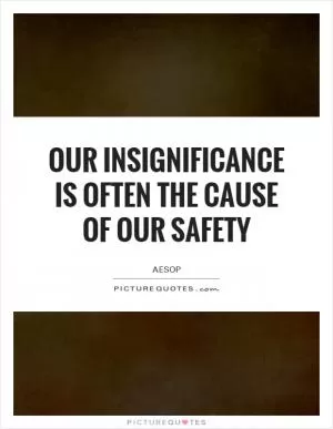 Our insignificance is often the cause of our safety Picture Quote #1
