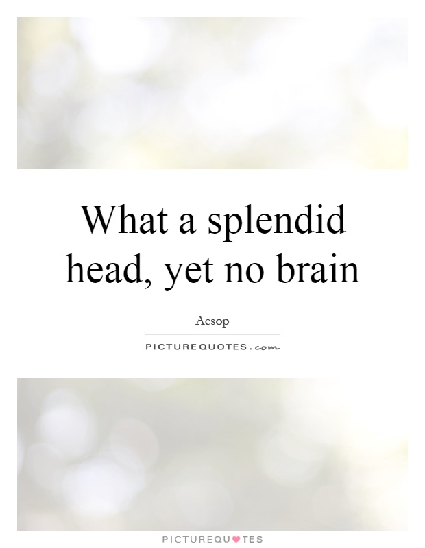 What a splendid head, yet no brain Picture Quote #1