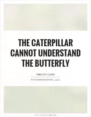 The Caterpillar cannot understand the butterfly Picture Quote #1