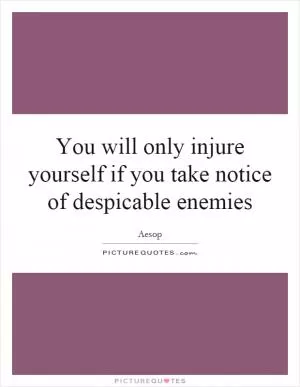 You will only injure yourself if you take notice of despicable enemies Picture Quote #1