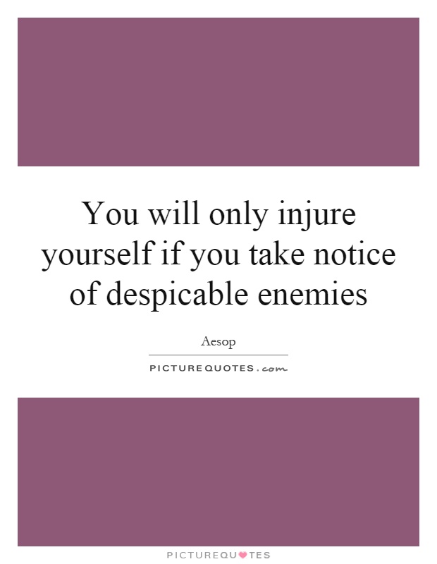 You will only injure yourself if you take notice of despicable enemies Picture Quote #1