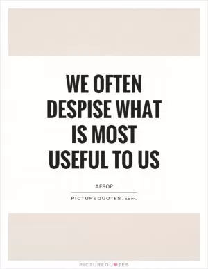 We often despise what is most useful to us Picture Quote #1