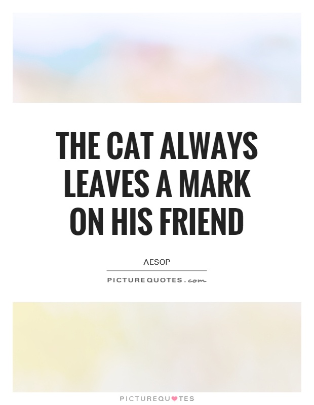 The cat always leaves a mark on his friend Picture Quote #1