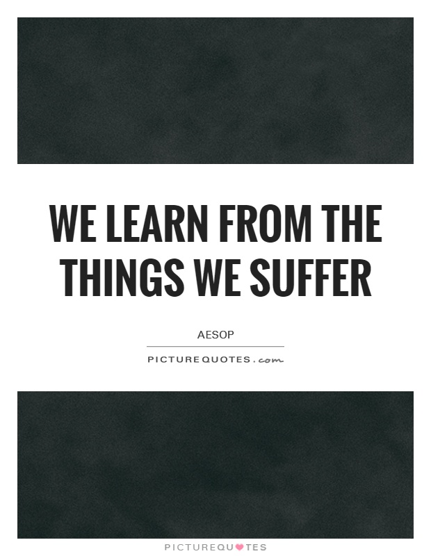 We learn from the things we suffer Picture Quote #1