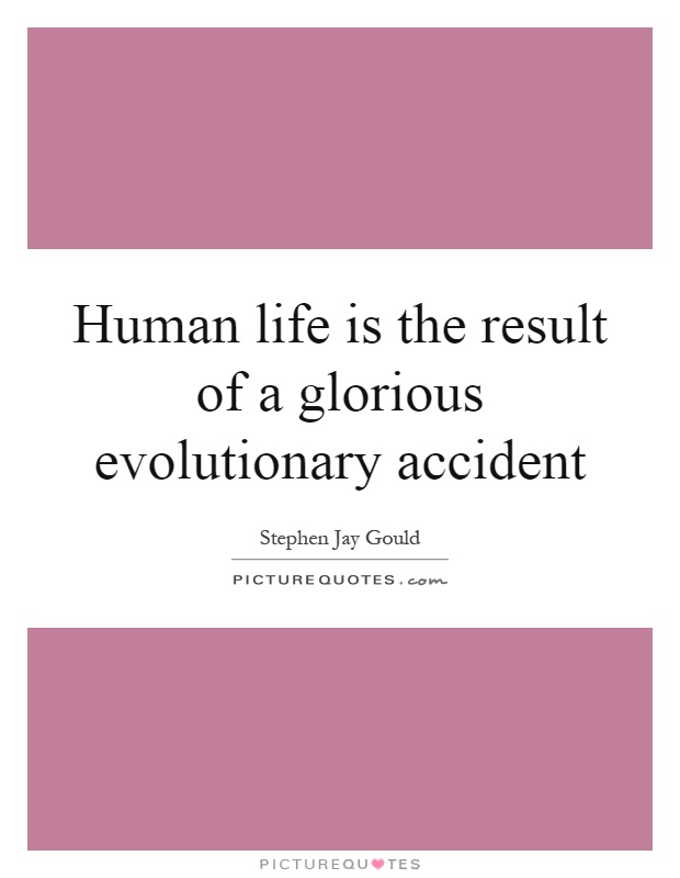 Human life is the result of a glorious evolutionary accident Picture Quote #1