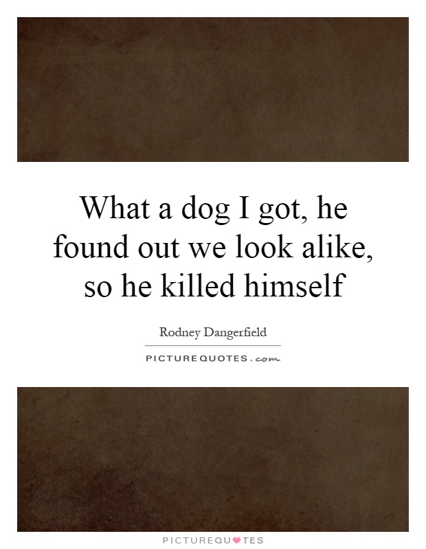 What a dog I got, he found out we look alike, so he killed himself Picture Quote #1