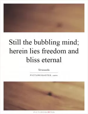 Still the bubbling mind; herein lies freedom and bliss eternal Picture Quote #1