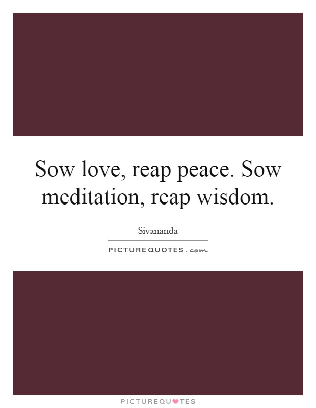 Sow love, reap peace. Sow meditation, reap wisdom Picture Quote #1