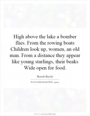 High above the lake a bomber flies. From the rowing boats Children look up, women, an old man. From a distance they appear like young starlings, their beaks Wide open for food Picture Quote #1