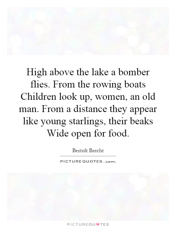 High above the lake a bomber flies. From the rowing boats Children look up, women, an old man. From a distance they appear like young starlings, their beaks Wide open for food Picture Quote #1