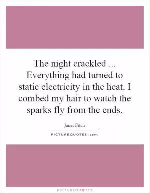 The night crackled... Everything had turned to static electricity in the heat. I combed my hair to watch the sparks fly from the ends Picture Quote #1
