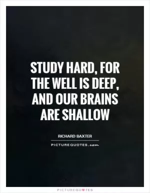 Study hard, for the well is deep, and our brains are shallow Picture Quote #1