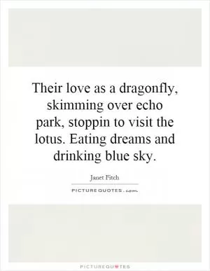 Their love as a dragonfly, skimming over echo park, stoppin to visit the lotus. Eating dreams and drinking blue sky Picture Quote #1