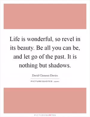 Life is wonderful, so revel in its beauty. Be all you can be, and let go of the past. It is nothing but shadows Picture Quote #1