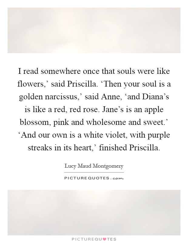 I read somewhere once that souls were like flowers,' said Priscilla. ‘Then your soul is a golden narcissus,' said Anne, ‘and Diana's is like a red, red rose. Jane's is an apple blossom, pink and wholesome and sweet.' ‘And our own is a white violet, with purple streaks in its heart,' finished Priscilla Picture Quote #1