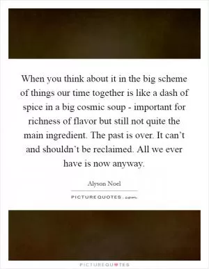 When you think about it in the big scheme of things our time together is like a dash of spice in a big cosmic soup - important for richness of flavor but still not quite the main ingredient. The past is over. It can’t and shouldn’t be reclaimed. All we ever have is now anyway Picture Quote #1