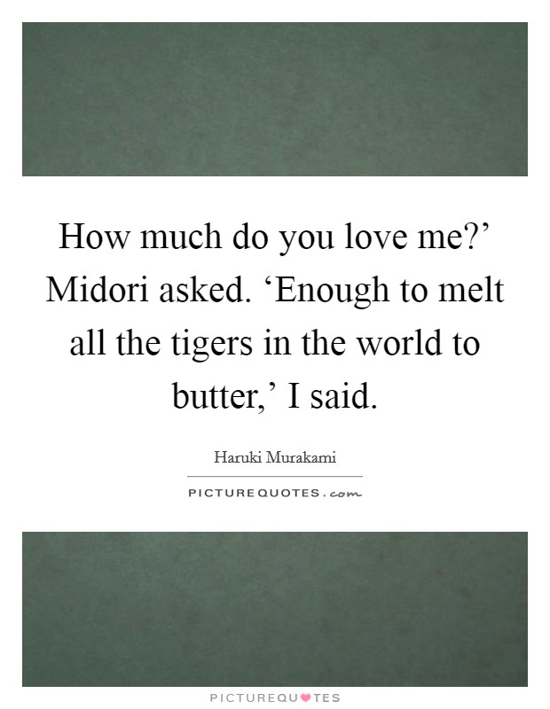 How much do you love me?' Midori asked. ‘Enough to melt all the tigers in the world to butter,' I said Picture Quote #1