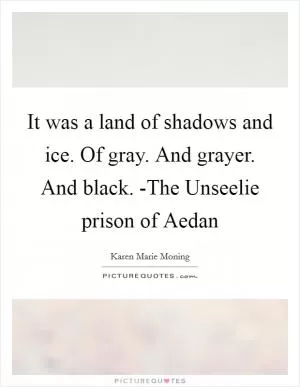 It was a land of shadows and ice. Of gray. And grayer. And black. -The Unseelie prison of Aedan Picture Quote #1