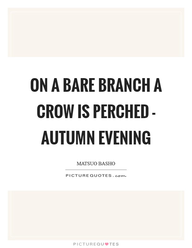 On a bare branch a crow is perched - autumn evening Picture Quote #1