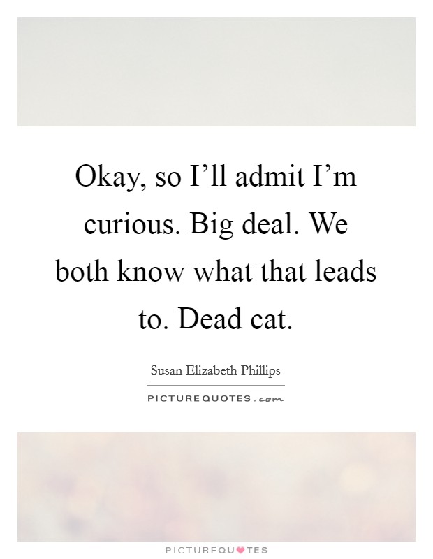 Okay, so I'll admit I'm curious. Big deal. We both know what that leads to. Dead cat Picture Quote #1