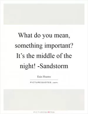 What do you mean, something important? It’s the middle of the night! -Sandstorm Picture Quote #1