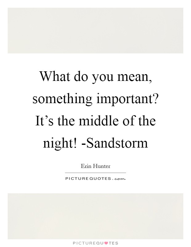 What do you mean, something important? It's the middle of the night! -Sandstorm Picture Quote #1