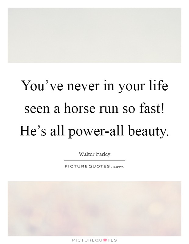 You've never in your life seen a horse run so fast! He's all power-all beauty Picture Quote #1