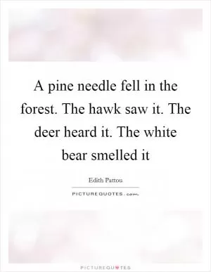 A pine needle fell in the forest. The hawk saw it. The deer heard it. The white bear smelled it Picture Quote #1