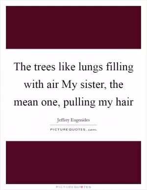 The trees like lungs filling with air My sister, the mean one, pulling my hair Picture Quote #1