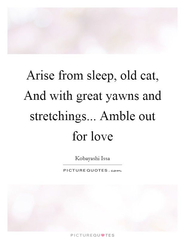 Arise from sleep, old cat, And with great yawns and stretchings... Amble out for love Picture Quote #1